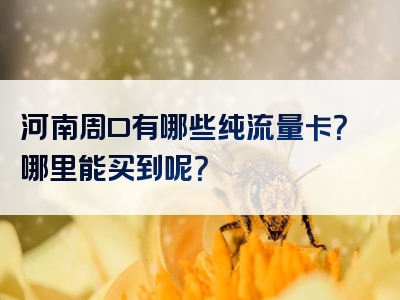 河南周口有哪些纯流量卡？哪里能买到呢？