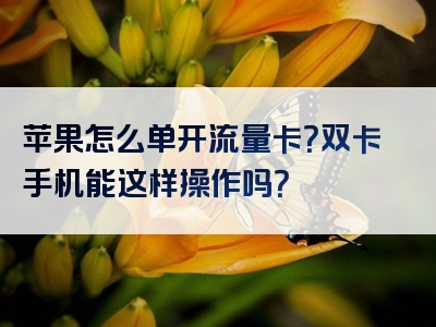 苹果怎么单开流量卡？双卡手机能这样操作吗？