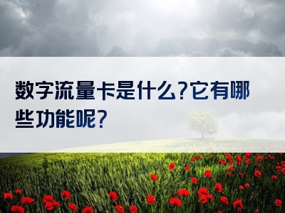 数字流量卡是什么？它有哪些功能呢？