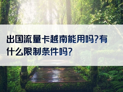 出国流量卡越南能用吗？有什么限制条件吗？