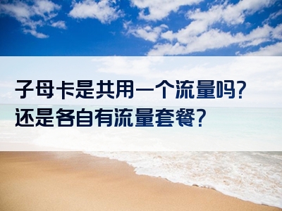 子母卡是共用一个流量吗？还是各自有流量套餐？