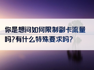 你是想问如何限制副卡流量吗？有什么特殊要求吗？