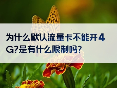 为什么默认流量卡不能开4G？是有什么限制吗？