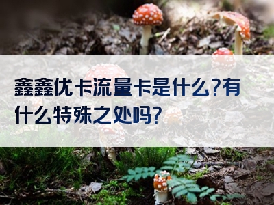 鑫鑫优卡流量卡是什么？有什么特殊之处吗？