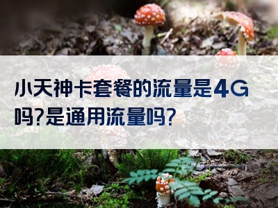 小天神卡套餐的流量是4G吗？是通用流量吗？