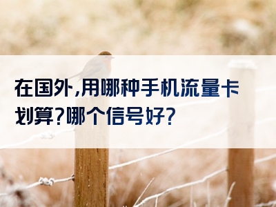 在国外，用哪种手机流量卡划算？哪个信号好？