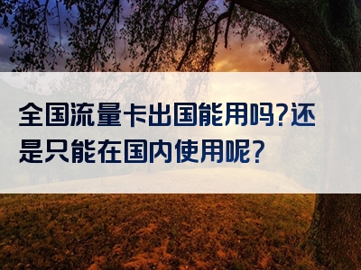 全国流量卡出国能用吗？还是只能在国内使用呢？