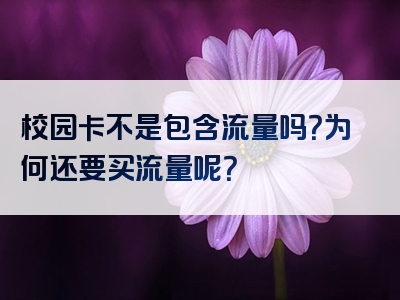 校园卡不是包含流量吗？为何还要买流量呢？