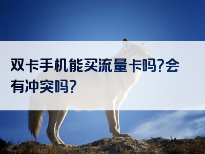 双卡手机能买流量卡吗？会有冲突吗？