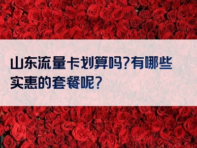 山东流量卡划算吗？有哪些实惠的套餐呢？