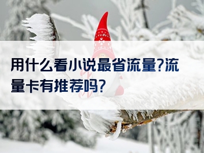用什么看小说最省流量？流量卡有推荐吗？