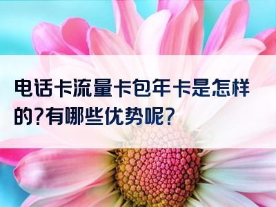 电话卡流量卡包年卡是怎样的？有哪些优势呢？