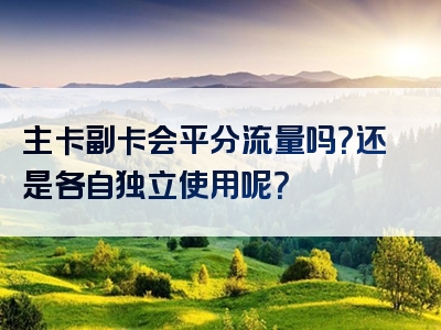 主卡副卡会平分流量吗？还是各自独立使用呢？