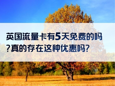 英国流量卡有5天免费的吗？真的存在这种优惠吗？