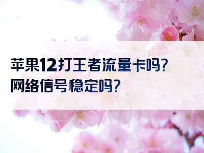苹果12打王者流量卡吗？网络信号稳定吗？