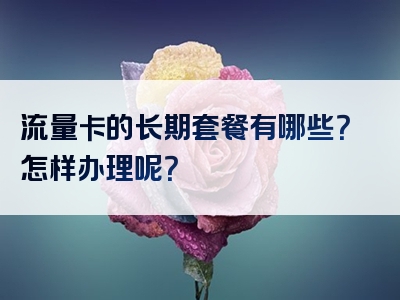 流量卡的长期套餐有哪些？怎样办理呢？
