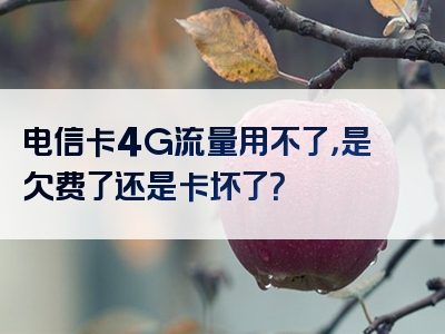 电信卡4G流量用不了，是欠费了还是卡坏了？