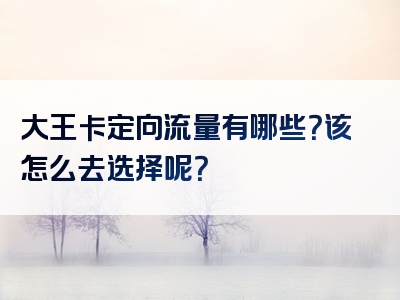 大王卡定向流量有哪些？该怎么去选择呢？