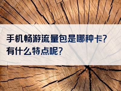 手机畅游流量包是哪种卡？有什么特点呢？