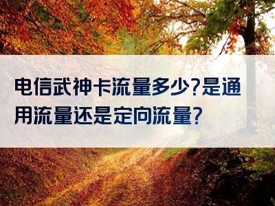 电信武神卡流量多少？是通用流量还是定向流量？