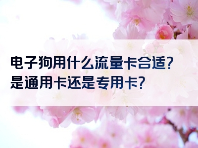 电子狗用什么流量卡合适？是通用卡还是专用卡？