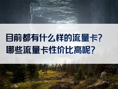 目前都有什么样的流量卡？哪些流量卡性价比高呢？