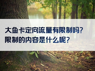 大鱼卡定向流量有限制吗？限制的内容是什么呢？