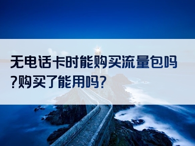 无电话卡时能购买流量包吗？购买了能用吗？
