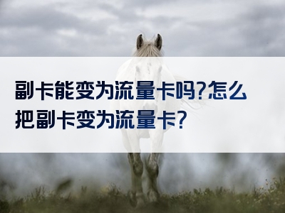 副卡能变为流量卡吗？怎么把副卡变为流量卡？