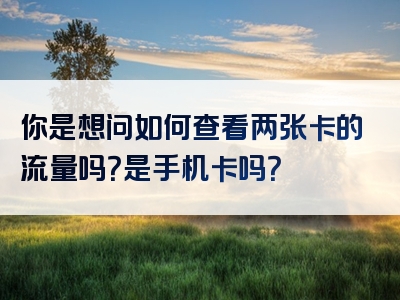 你是想问如何查看两张卡的流量吗？是手机卡吗？
