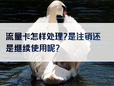 流量卡怎样处理？是注销还是继续使用呢？