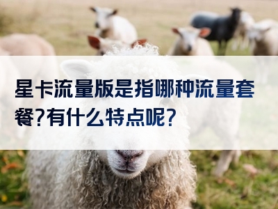 星卡流量版是指哪种流量套餐？有什么特点呢？
