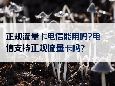 正规流量卡电信能用吗？电信支持正规流量卡吗？