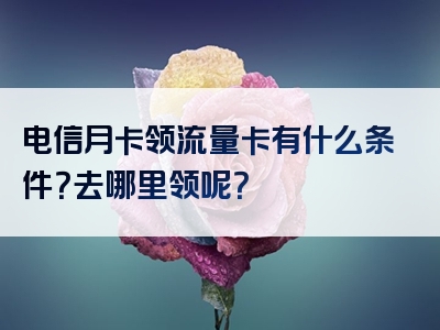 电信月卡领流量卡有什么条件？去哪里领呢？