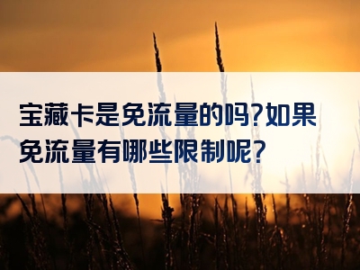 宝藏卡是免流量的吗？如果免流量有哪些限制呢？