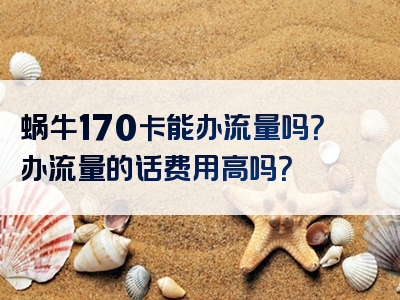 蜗牛170卡能办流量吗？办流量的话费用高吗？