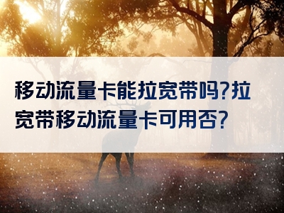 移动流量卡能拉宽带吗？拉宽带移动流量卡可用否？