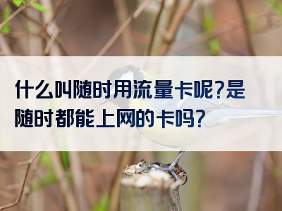 什么叫随时用流量卡呢？是随时都能上网的卡吗？