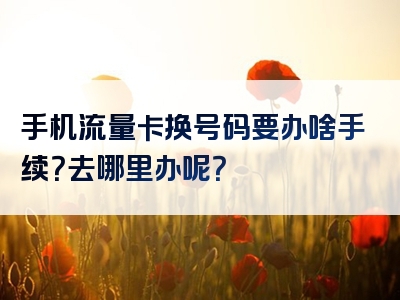 手机流量卡换号码要办啥手续？去哪里办呢？