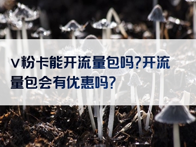 v粉卡能开流量包吗？开流量包会有优惠吗？