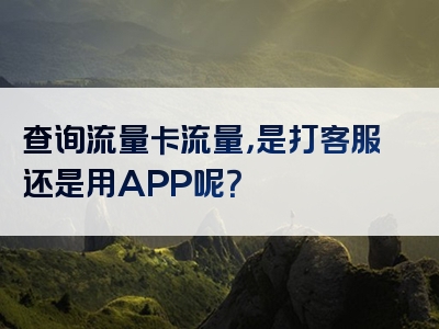 查询流量卡流量，是打客服还是用APP呢？