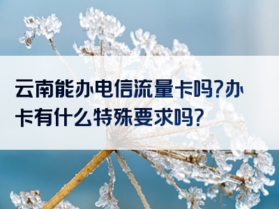 云南能办电信流量卡吗？办卡有什么特殊要求吗？