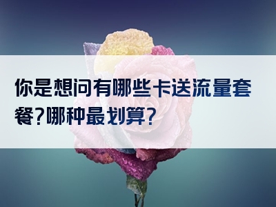 你是想问有哪些卡送流量套餐？哪种最划算？
