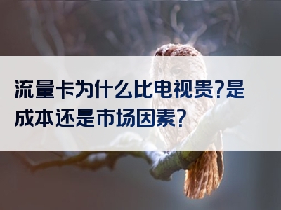 流量卡为什么比电视贵？是成本还是市场因素？