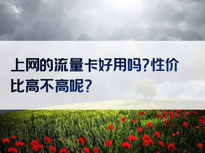 上网的流量卡好用吗？性价比高不高呢？