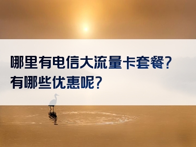 哪里有电信大流量卡套餐？有哪些优惠呢？