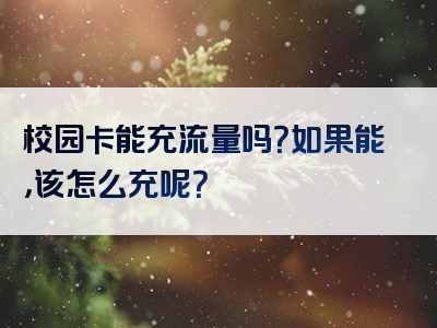 校园卡能充流量吗？如果能，该怎么充呢？