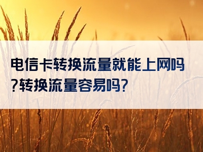 电信卡转换流量就能上网吗？转换流量容易吗？