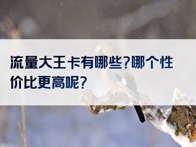 流量大王卡有哪些？哪个性价比更高呢？