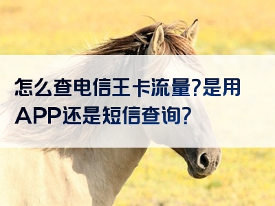 怎么查电信王卡流量？是用APP还是短信查询？